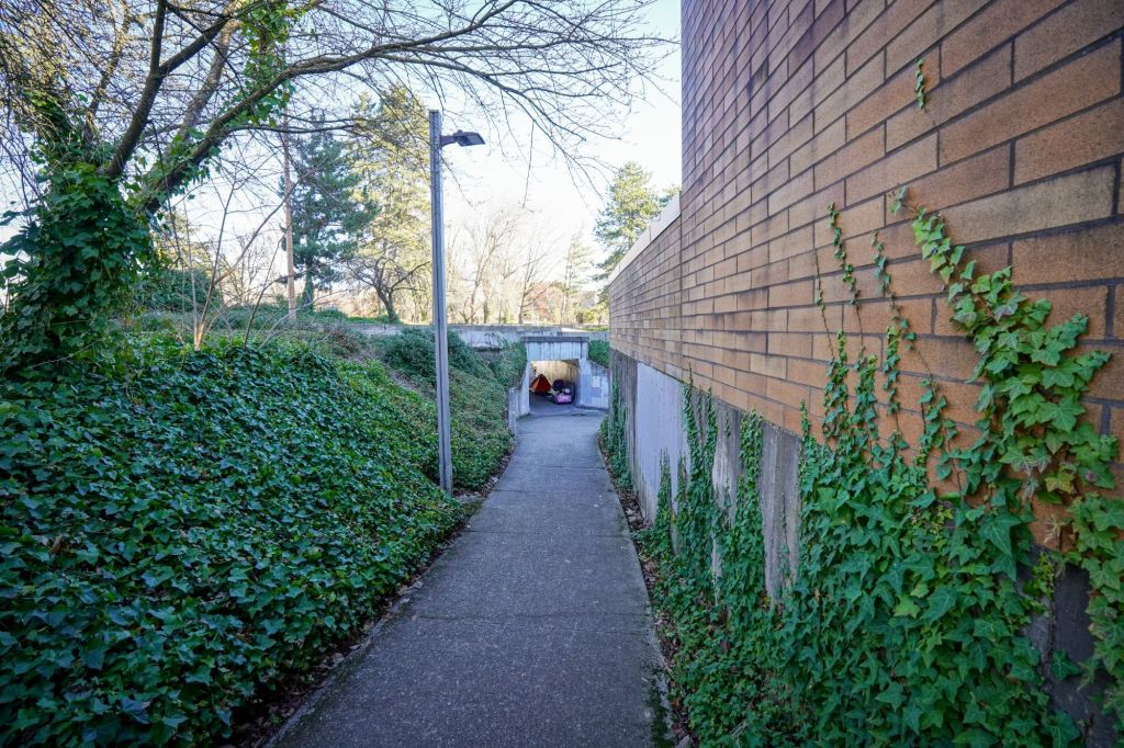 psx_20250131_1617148999062200572586584