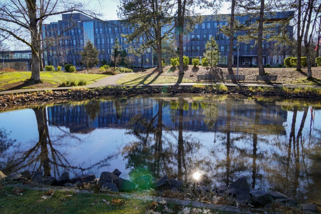 The Inner City Park: A place for discovering New Covenant&nbsp;Creation