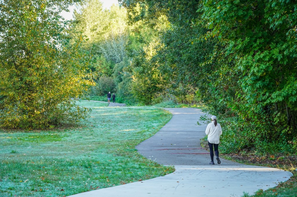 Not A Walk In the Park: Navigating Civil Liberties In A World Of Conflicting Kingdoms